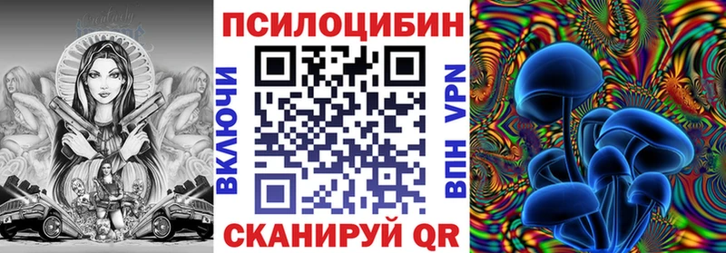Купить  Медынь  Псилоцибиновые грибы Psilocybe 